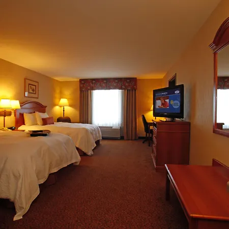 Comfort Inn & Suites Rapid City Near Mt Rushmore-3